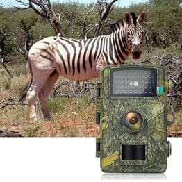 Камера фотоловушка с функцией ночного видения